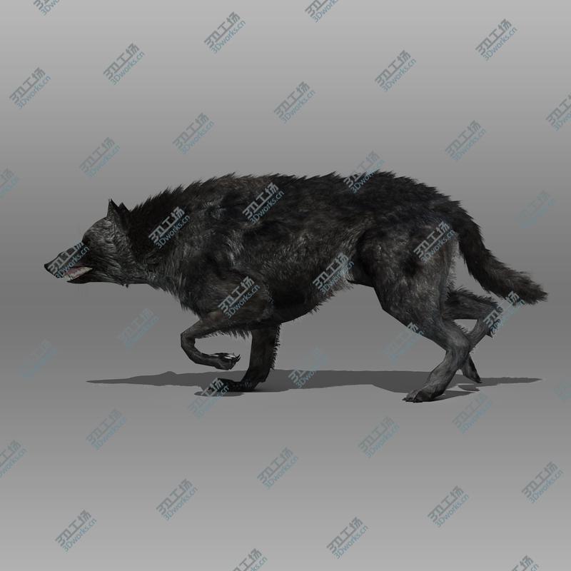 images/goods_img/202105074/Wolf Animated/5.jpg